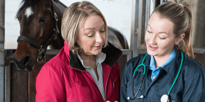 Hero Image of Woman with her Veterinarian and Horse 